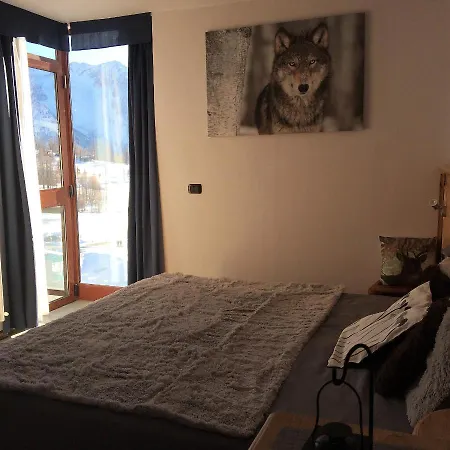 Aparthotel Shackleton 4*