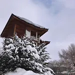 Shackleton Sestriere