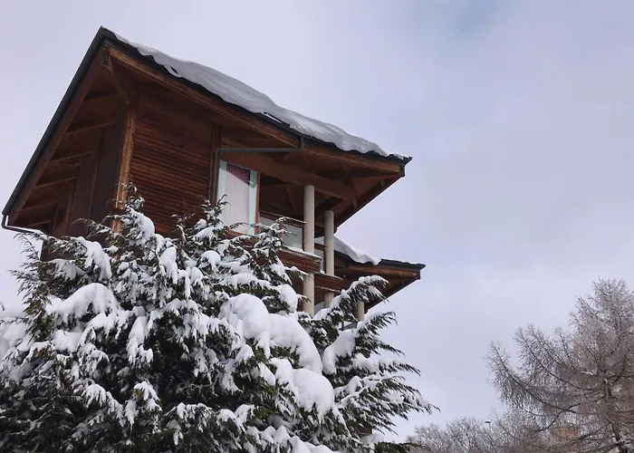 Shackleton Sestriere